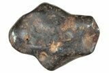 Canyon Diablo Iron Meteorite ( g) - Arizona #243145-1